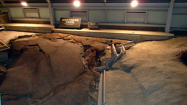 野島断層保存館